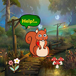 First Aid To Injured Squirrel Games2Rule