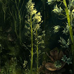Flowers Light Forest Escape BigEscapeGames