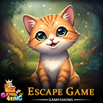 Fluffy Kitten Escape Games4King