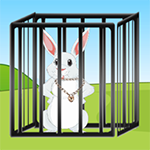 Fluffy Rabbit Escape Games2Live