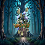 Forest Adventure Hidden247