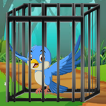 Forest Blue Bird Rescue Games2Mad
