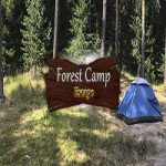 Forest Camp Escape 365Escape