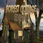 Forest Cottage Escape 1 365Escape
