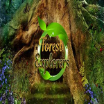 Forest Explorers Hidden247