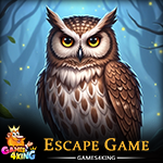 Forest Owl Escape Games4King