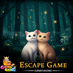 Friendly Cat Duo Escape Games4King