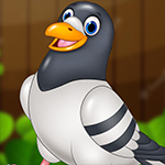 Funny Pigeon Escape Games4King