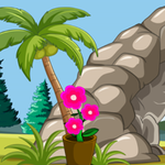 Garden Gecko Escape Games2Live