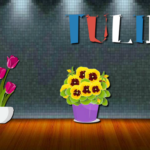 Garden Mystery Puzzle Escape 8BGames