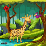 Giraffe Attends Birthday Party WowEscape