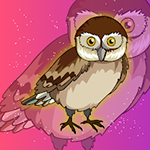 Glaucidium Owl Escape From Cage Games2Jolly