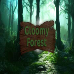 Gloomy Forest Hidden247