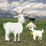 Goat Find The Child WowEscape