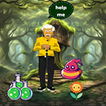 Grandpa Escaped Magical Village WowEscape