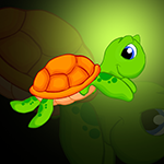 Green Sea Turtle Rescue Games2Jolly
