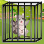 Grey Mask Escape Games2Live