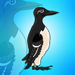Guillemots Bird Escape Games2Jolly