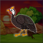 Guinea Fowl Rescue From The Cage Games2Jolly