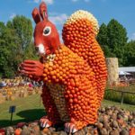 Halloween Pumpkin Garden Escape Games2Rule