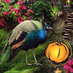 Halloween Wonder Garden Escape BigEscapeGames
