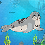 Harp Seal Escape Games2Jolly