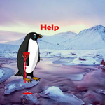 Heal The Wounded Penguin Games2Rule