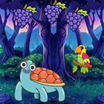 Help Girl Turned Into Tortoise Games2Rule