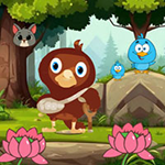 Help Injured Bird Fallen Down BigEscapeGames