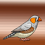 Help The Australian Zebra Finch Games2Jolly