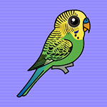 Help The Budgerigar From Cage Games2Jolly