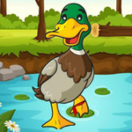 Help The Charming Duck BigEscapeGames
