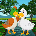 Help The Duck Couple BigEscapeGames