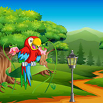 Help The Lonely Macaw WowEscape