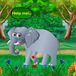 Help The Wounded Elephant BigEscapeGames