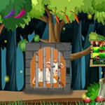 Help To Rescue The Cow Games2Live