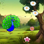 Help To Visit Peacock Pal Games2Rule