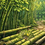 Hidden Bamboo Forest Escape Games2Rule