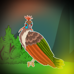 Hoatzin Bird Escape Games2Jolly