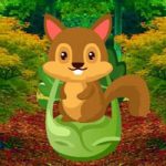 Horticulture Squirrel Escape WowEscape
