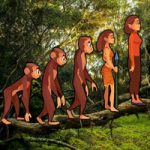 Human Evolution Escape WowEscape