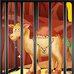Humpback Escape Games2Live