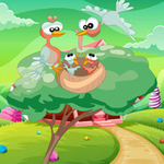 Hungry Birds Family BigEscapeGames