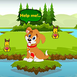 Injured Dog Meet Buddies WowEscape
