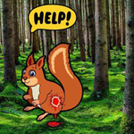 Injuried Squirrel Escape Games2Rule
