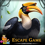 Jungle Hornbill Escape Games4King