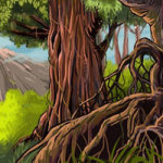 Jungle Racoon Escape WowEscape