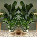 Jungle Wallpaper House Escape Games2Rule