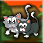 Kitten Brother Escape Games2Jolly
