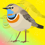 Liberate The Bluethroat Nightingale FastrackGames